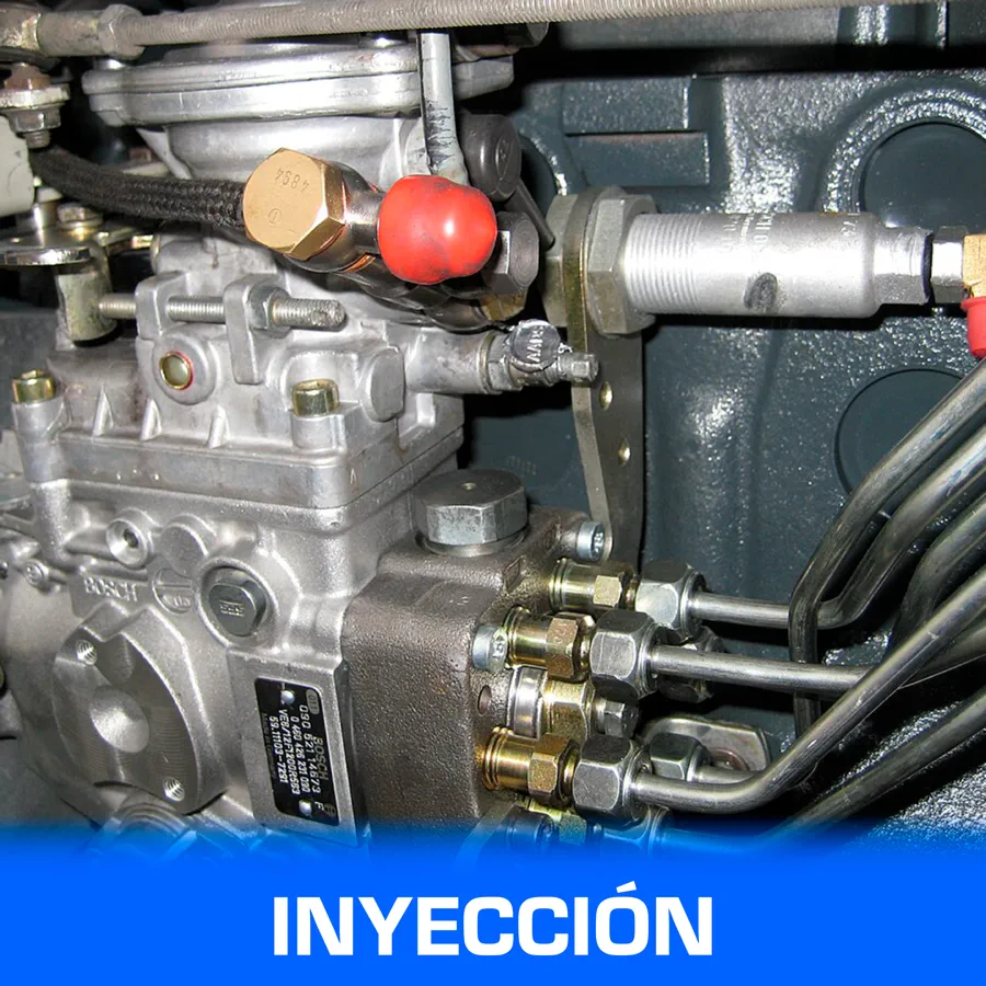 Inicio 19 cats CD 15